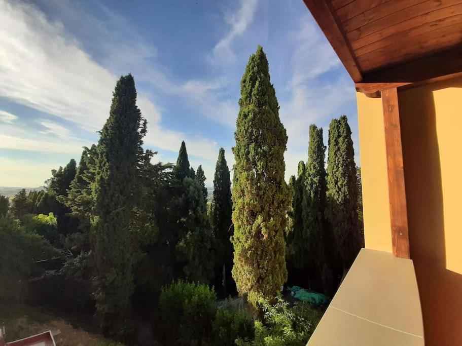 Lajatico Rentals - Terrazza Sul Tramonto Del Silenzio Exteriér fotografie